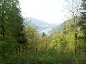 10 km into the half-marathon.... (photo taken on a training run 2 weeks before)