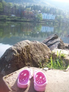 neckar_in_spring
