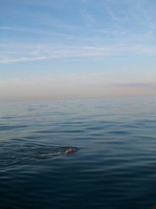 A "perfect" day inthe Channel - July 4th
