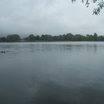 Swimming in the rain