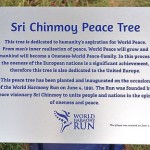 The new Plaque of the Peace Tree in Brussels